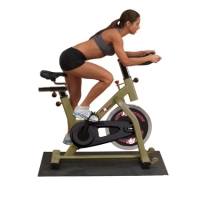 freemotion 350r exercise bike